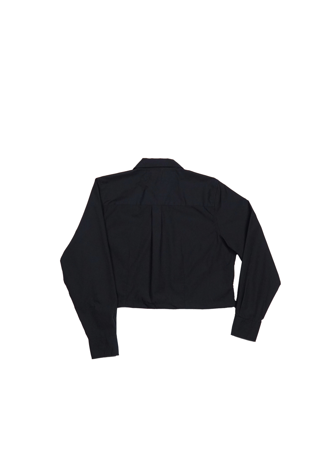Suzanne Crop