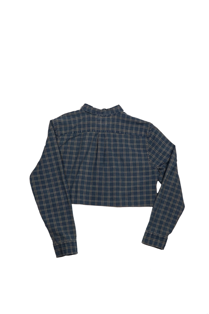 Levi Crop