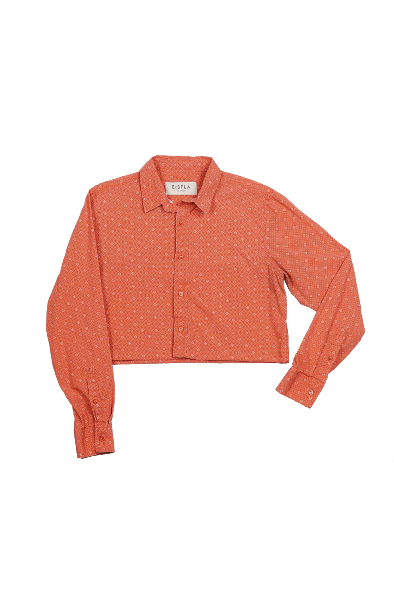 Clementine Crop